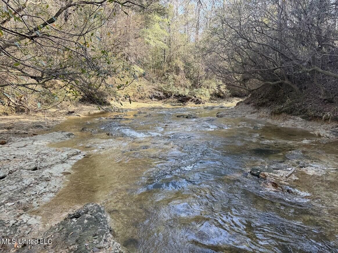 Property Photo:  Pete Hickman Road  MS 39574 