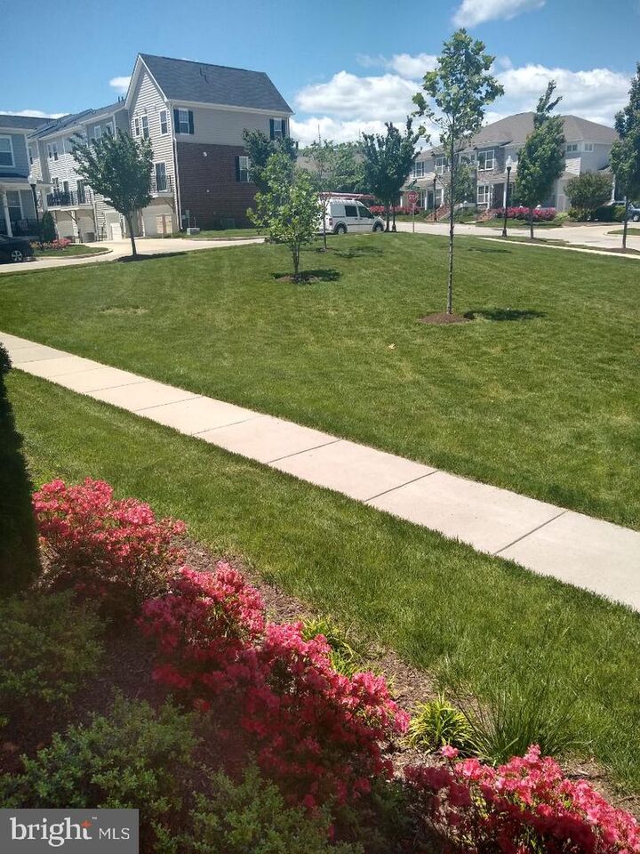 Property Photo:  4515 Maple Wood Drive  MD 21229 