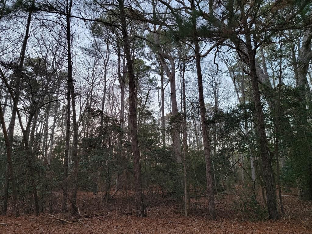 Property Photo:  Lot 7A1 Wilsonia Shores Dr  VA 23405 