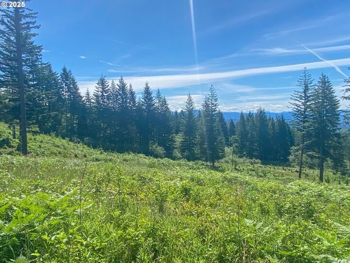 Property Photo:  29104 NE Hancock Rd  WA 98607 