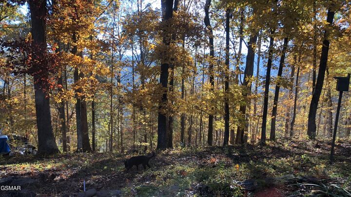 Property Photo: 804 S Shiloh Road TN 37865