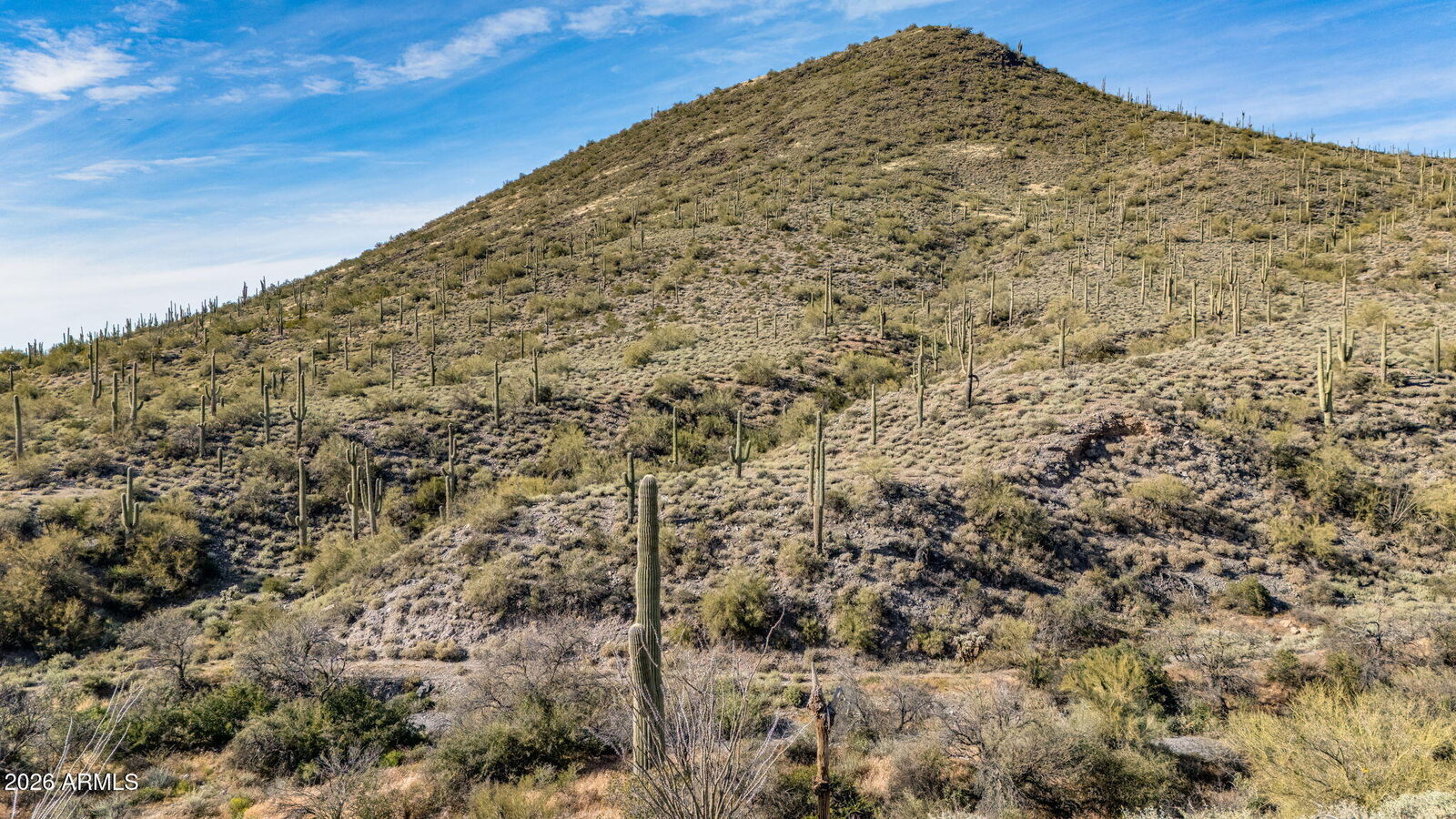 Property Photo:  7xxx N 80th Street '-'  AZ 85331 