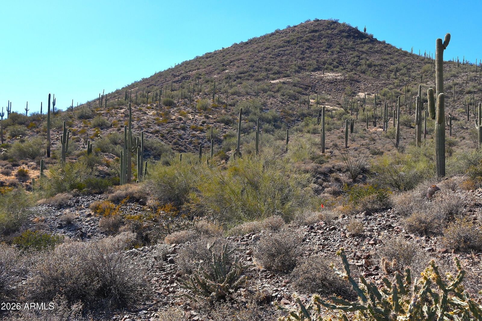 Property Photo:  7xxx N 80th Street '-'  AZ 85331 