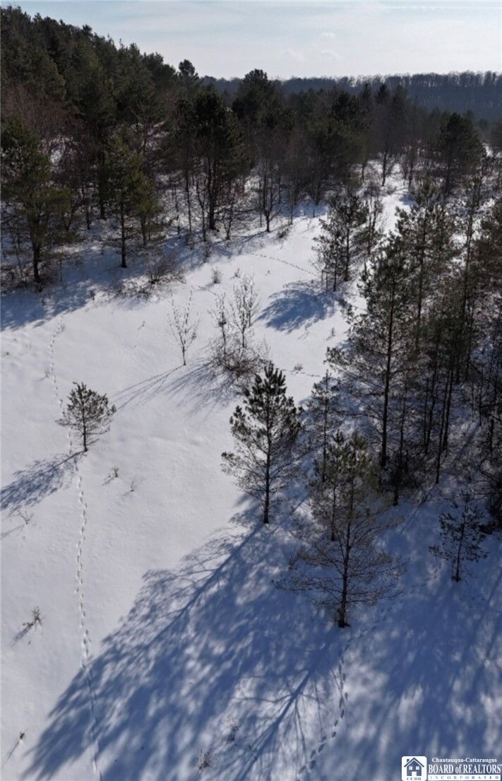 Property Photo: Reynolds Road NY 14737