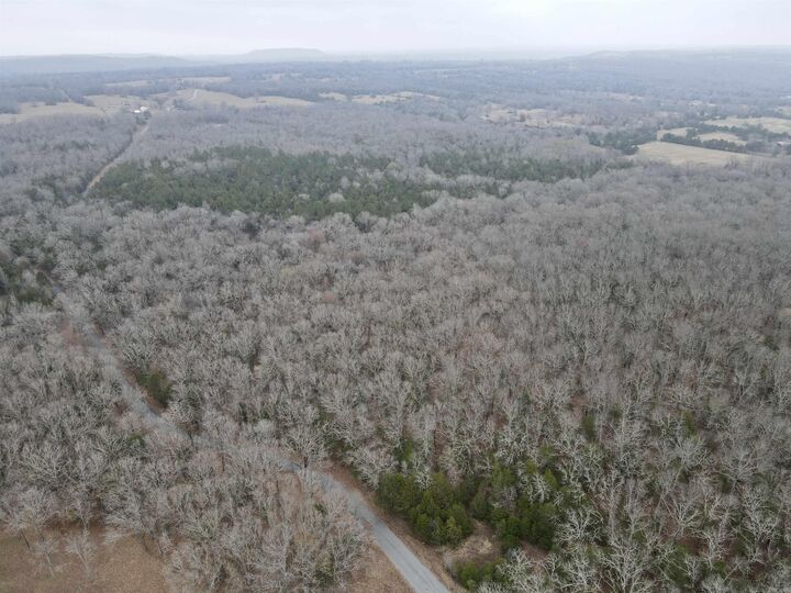 Property Photo:  00 McNew Cemetery Rd  AR 72058 