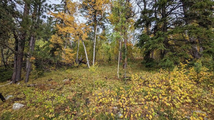 Property Photo:  Prodigal Son Ld Terry Summit Road  SD 57754 