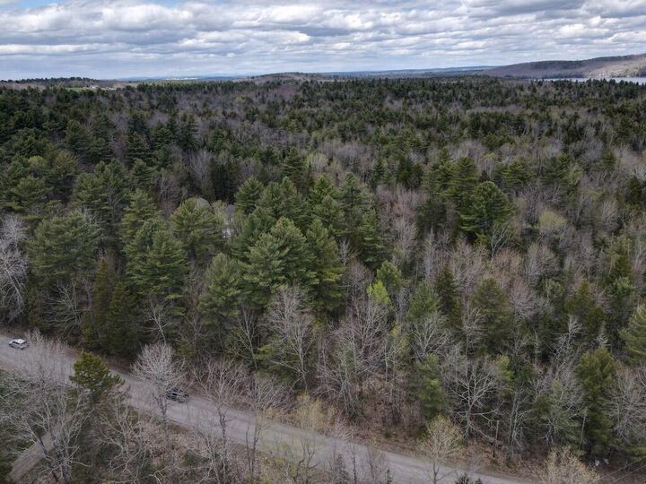 Property Photo: M004-L009e E Bucksport Road ME 04474