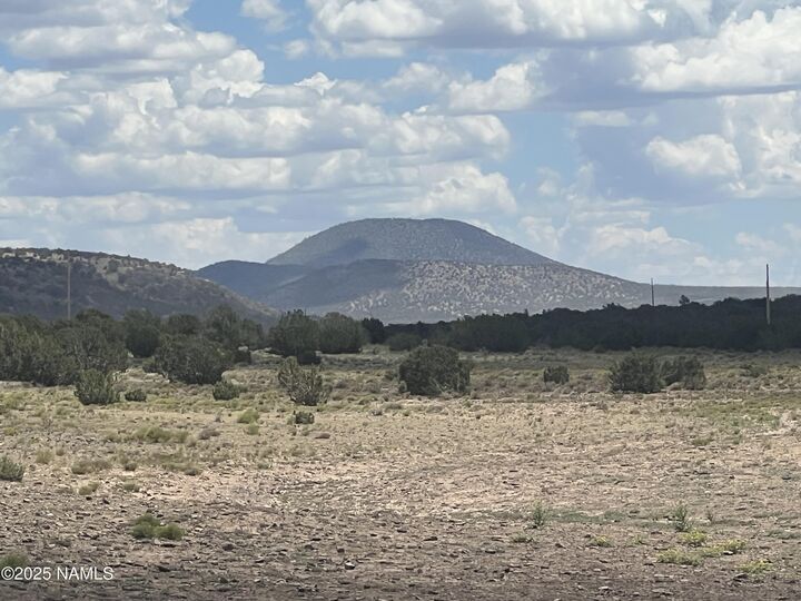 Property Photo:  3472 Whitetail Loop  AZ 86046 