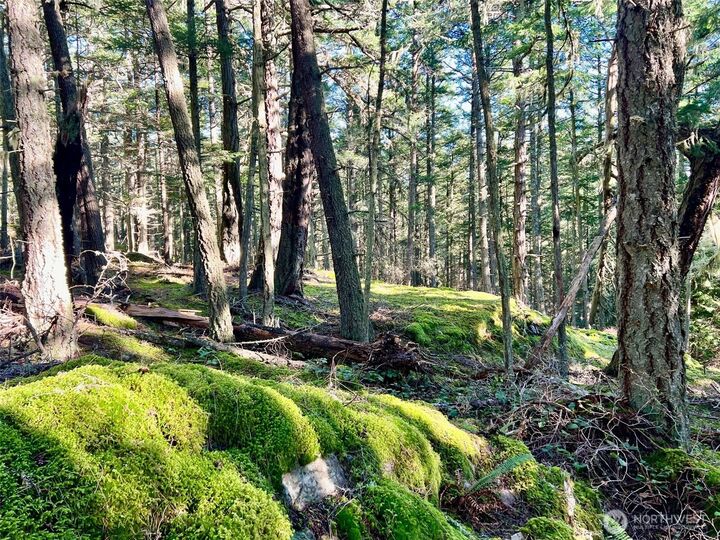 Property Photo: 0 Highland Drive WA 98221