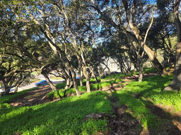 Property Photo: 0 Paradise Road CA 93907