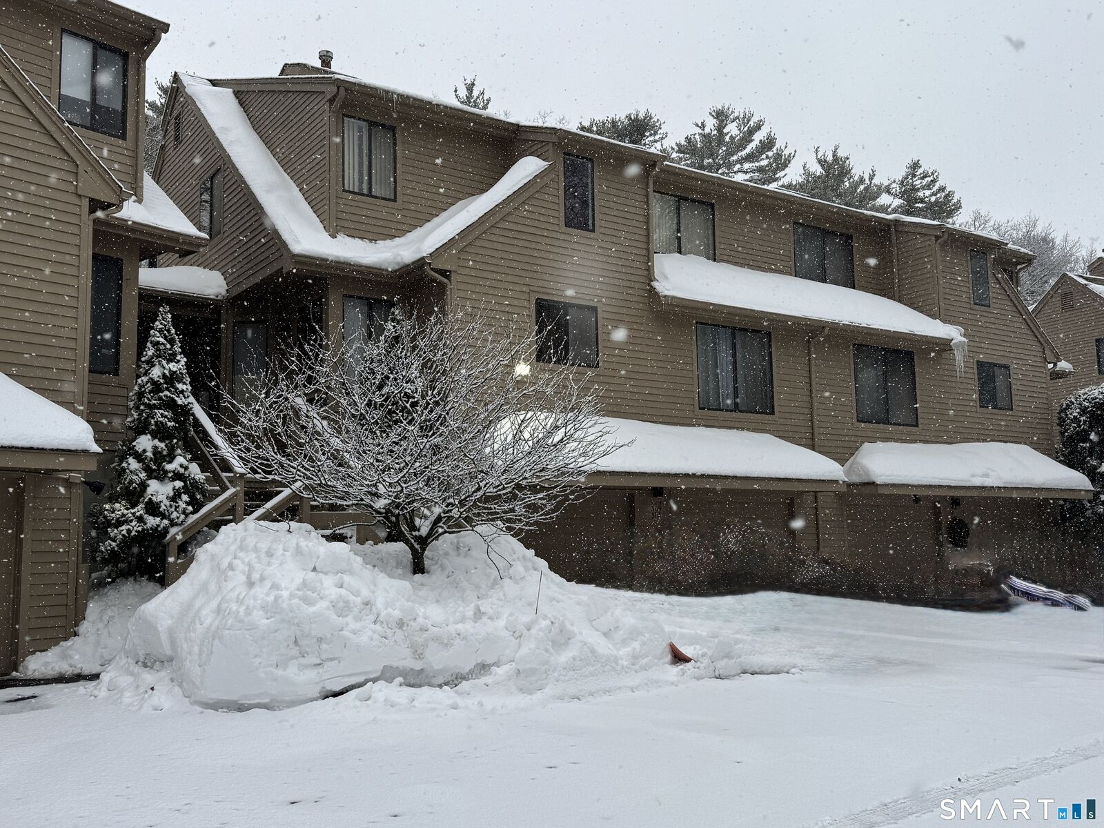 Property Photo: 210 Treadwell Street 310 CT 06517