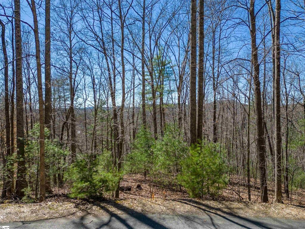 Property Photo:  132 Overlook Park Drive ***  NC 28792 