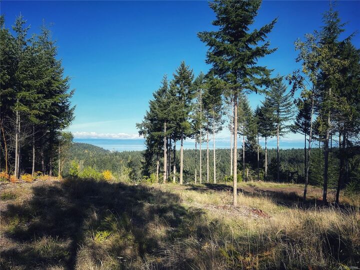 Property Photo:  Lt 5 Spruce Ave  BC V0R 1X2 