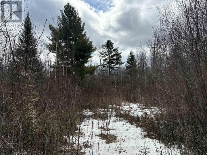 Property Photo: 2035 Ventnor Road ON K0E 1X0