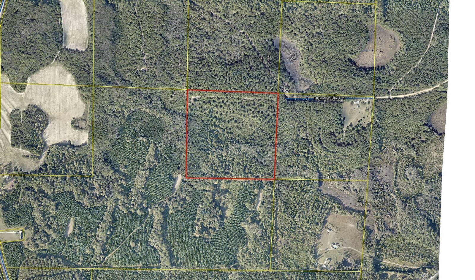 Property Photo: 40 Acres Hummingbird Lane FL 32464