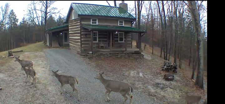 Property Photo: 1248 Burke Road KY 40342