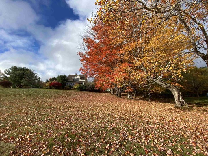 Property Photo:  380 Truro Heights Road  NS B6L 1X6 