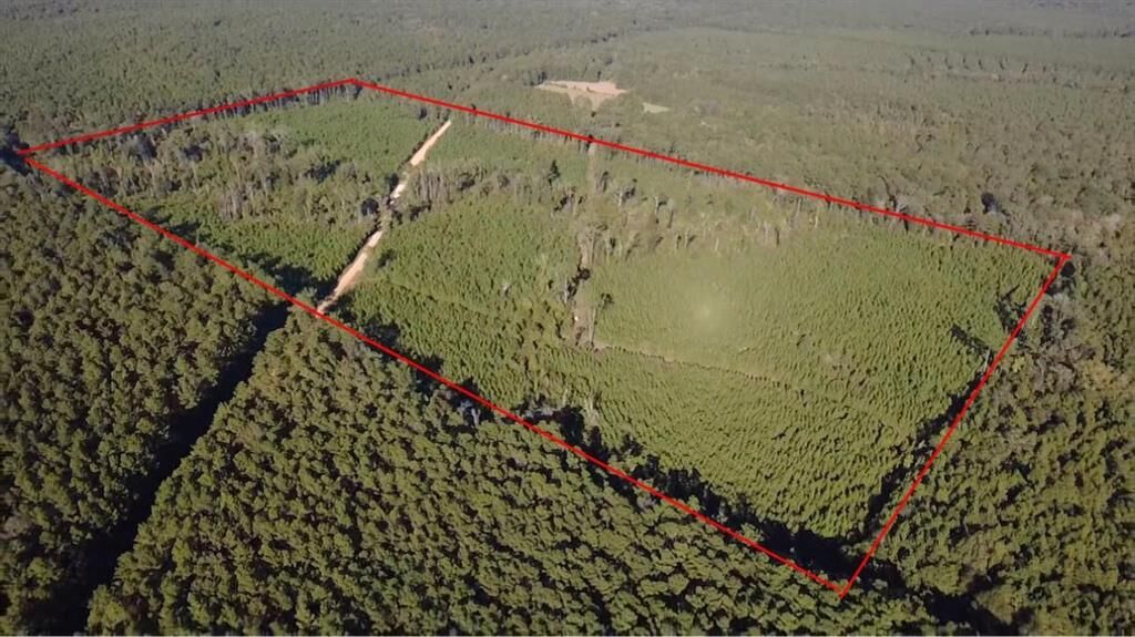 Property Photo:  None Pacton-Alexandria Road  LA 71483 