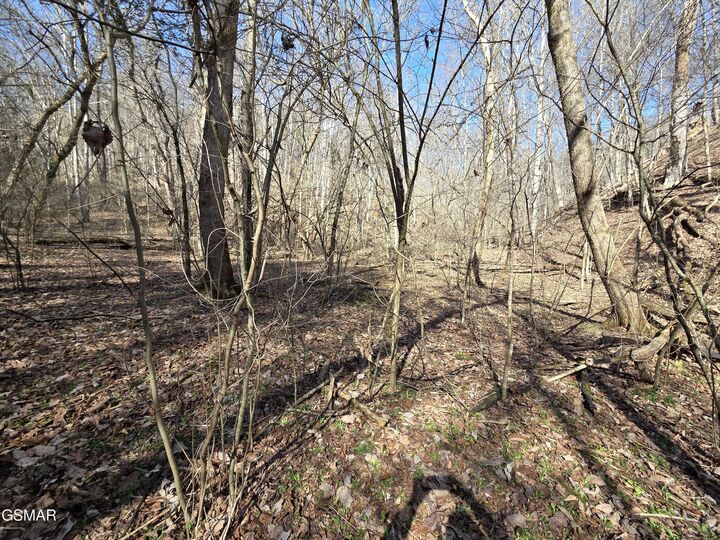 Property Photo:  - Baysinger Road  TN 37821 