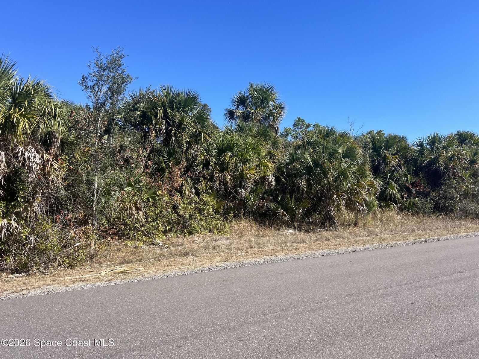 Property Photo:  541 La Goy Street SW  FL 32908 