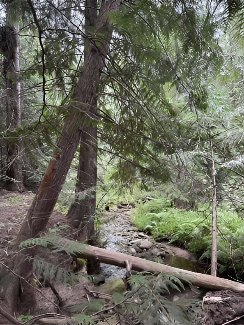 Property Photo:  34xxx N Blanchard Creek Rd  WA 99156 