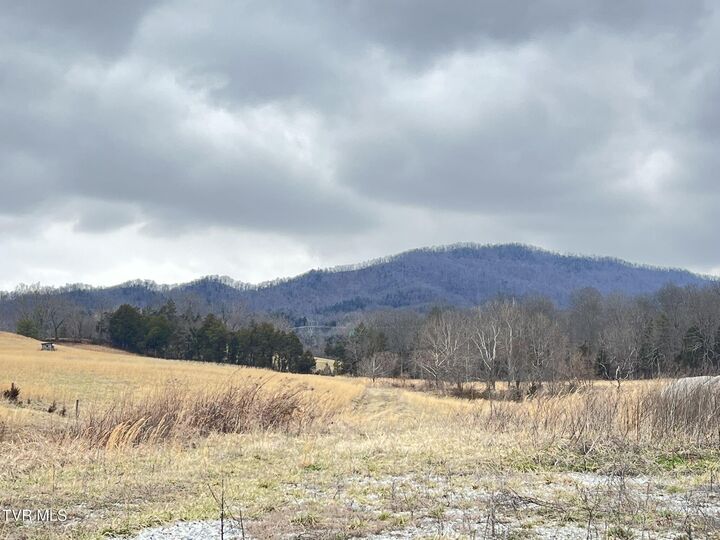 Property Photo:  Tbd Brake Tree Lane  TN 37745 