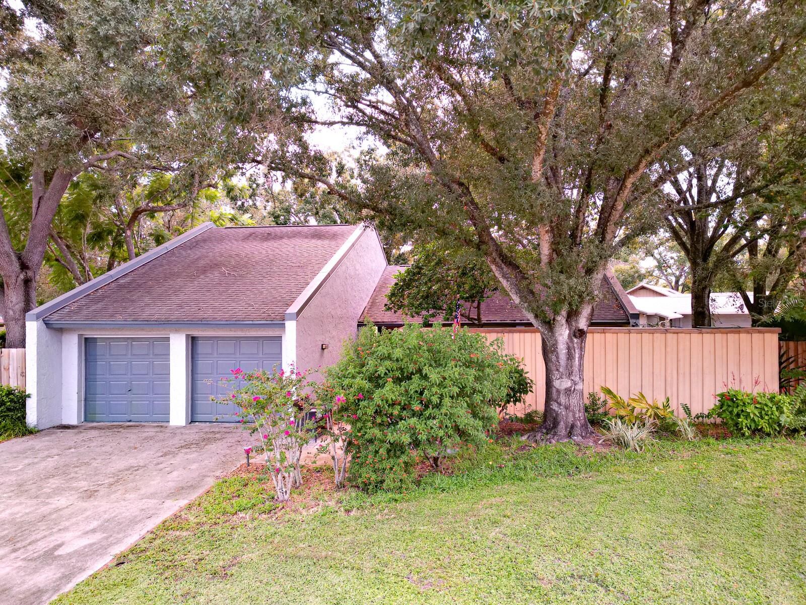 Property Photo: 4438 Summer Oak Drive FL 33618