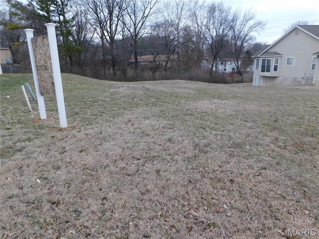 Property Photo: 12007 Parker Estates Court MO 63033