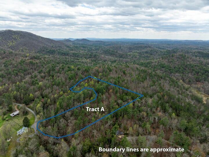 Property Photo:  Lot A-D Harpers Creek Road  GA 30540 