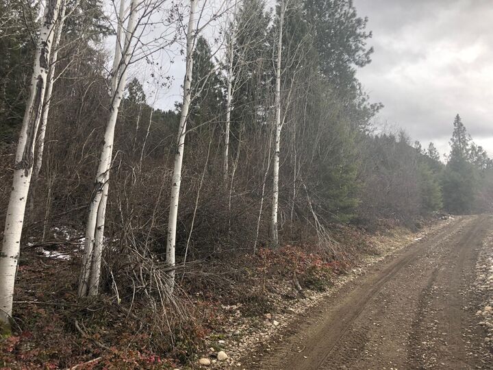 Property Photo: 40xx N Stone Mountain Way WA 99114