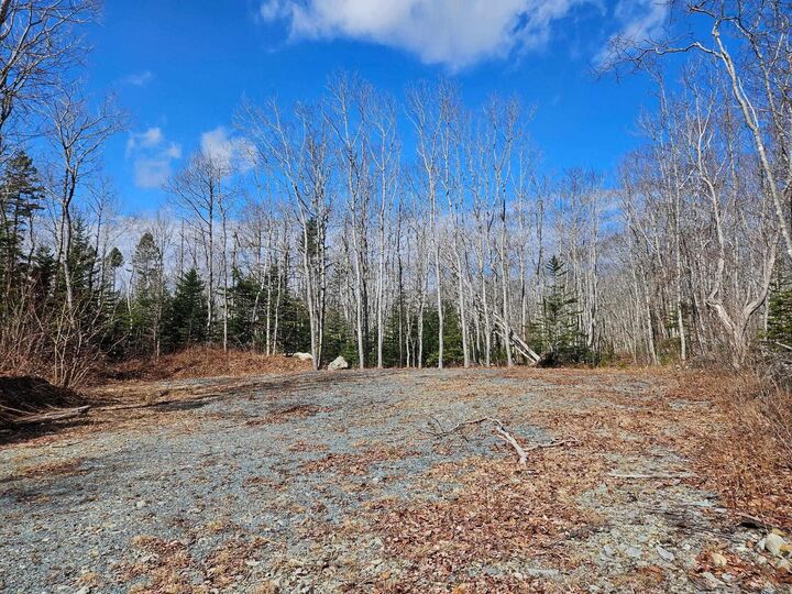 Property Photo:  Lot Highway 3  NS B0T 1K0 
