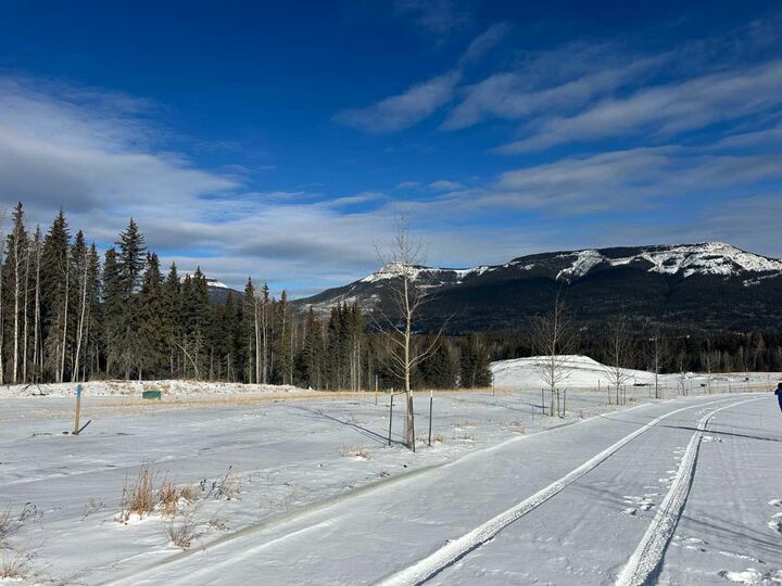 Property Photo: 425 Lily Avenue AB T0M 2H0