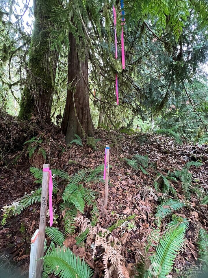 Property Photo:  15026  Iceberg Road  WA 98244 