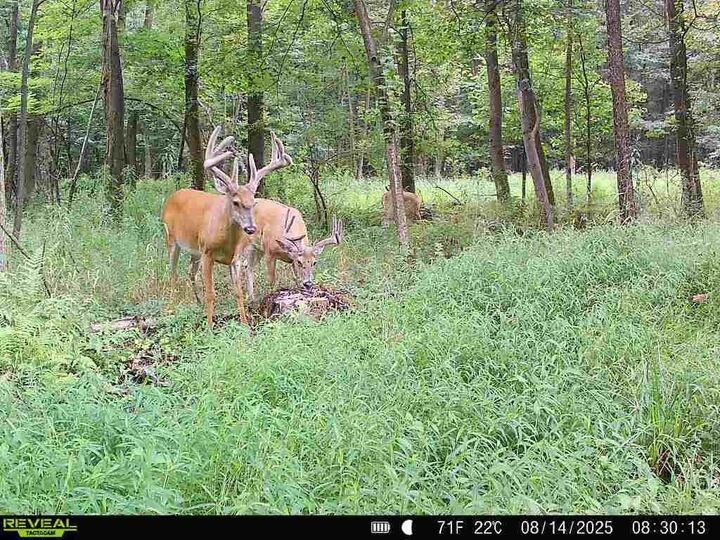 Property Photo: 0 SR 258 PA 16127