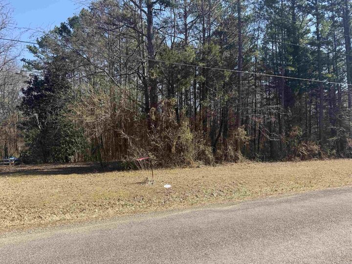 Property Photo:  487 Valley Dr.  AR 72543 