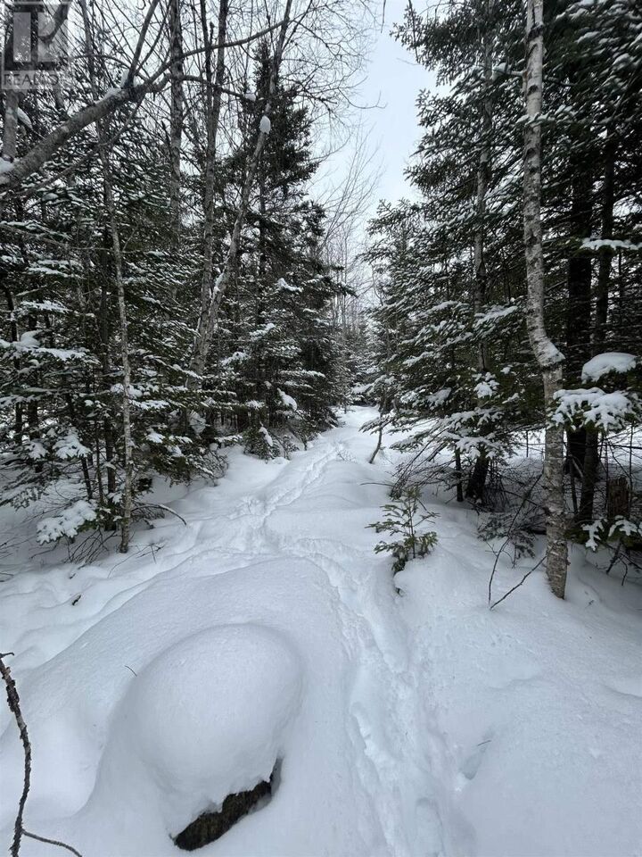 Property Photo:  2 Highway 289 Highway  NS B0N 1C0 