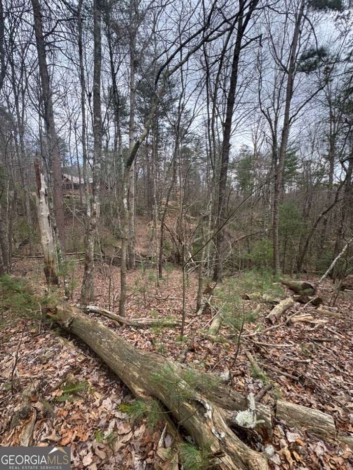 Property Photo: Lot 16R Leatherwood Mountain Road GA 30522