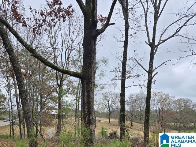 Property Photo:  0 Capricorn Drive 0  AL 35014 