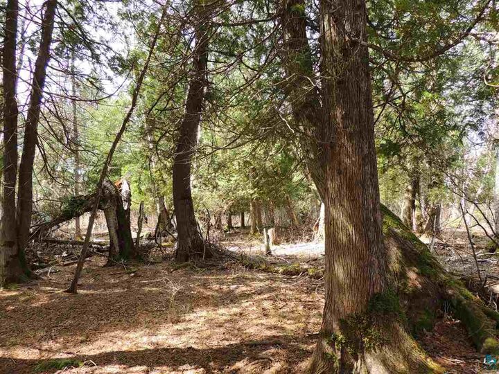 Property Photo:  X30 Isak Ridge Rd  MN 55612 