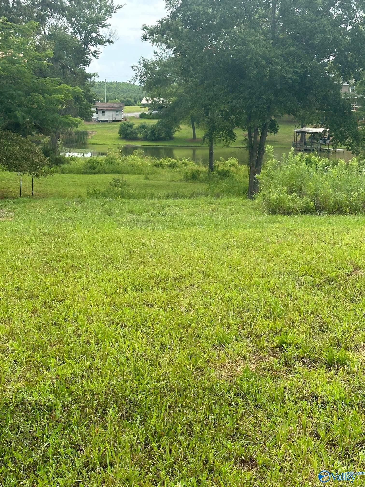 Property Photo:  836 County Road 359  AL 35983 