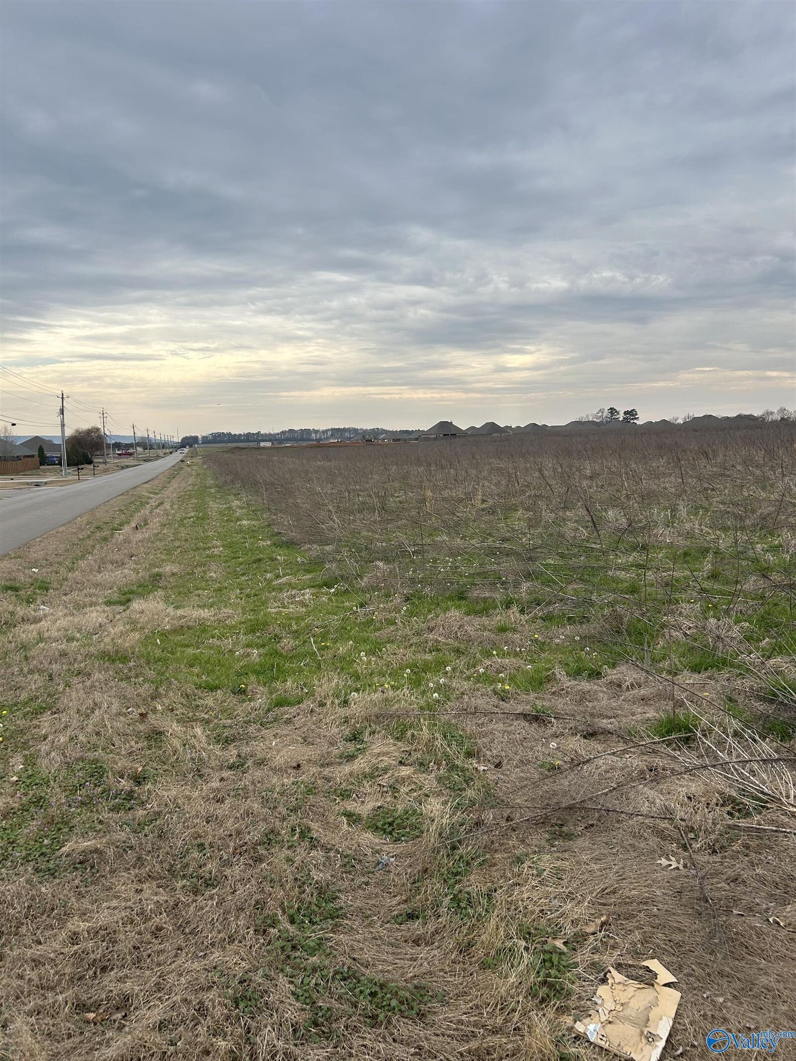 Property Photo:  292 Jimmy Fisk Road  AL 35750 