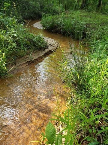 Property Photo:  20039 County Road 450  TX 75771 