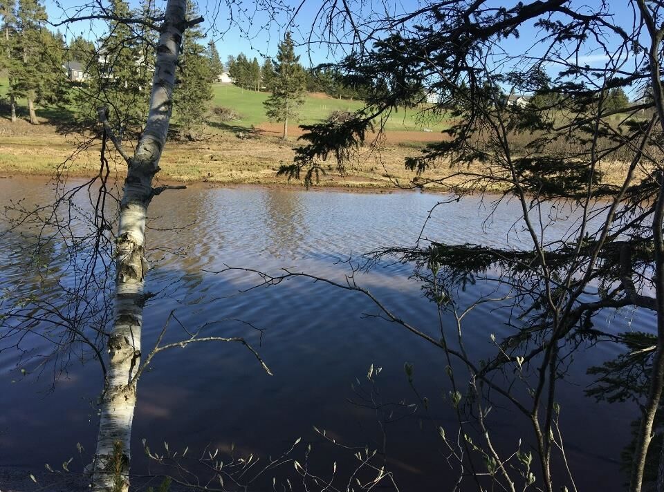 Property Photo:  Lot Stead Road - 7.8 Waterfront  PE C0A 1N0 
