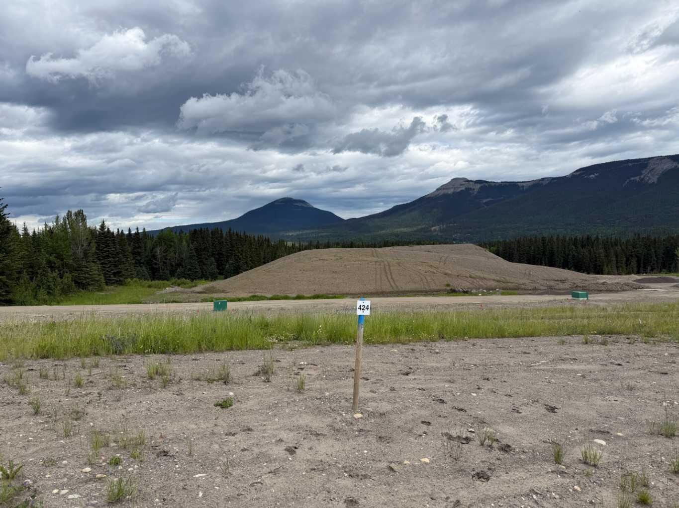 Property Photo: 424 Lily Avenue AB T0M 2H0