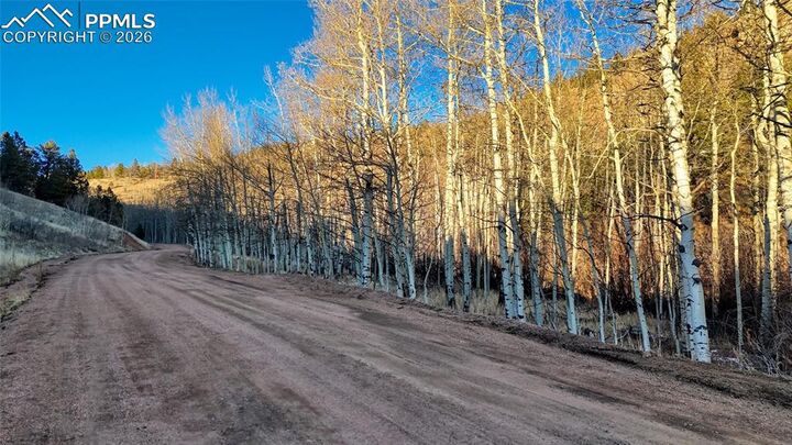 Property Photo:  524 Buckhorn Road  CO 80813 