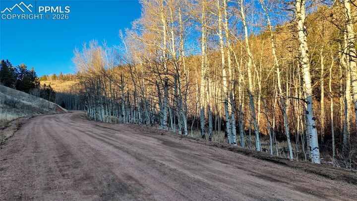 Property Photo:  524 Buckhorn Road  CO 80813 