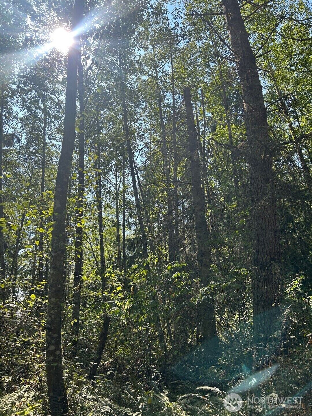 Property Photo:  0 Xxx  Forest View Lane  WA 98253 