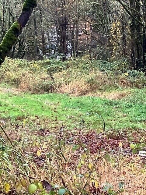 Property Photo:  29280 NE 189th Street  WA 98019 