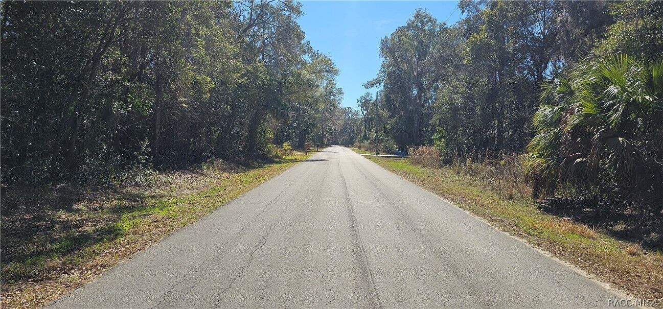 Property Photo:  939 N Sonia Avenue  FL 34453 