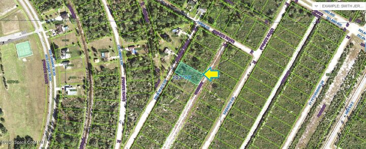 Property Photo: 0 Fort Myers Road FL 33855